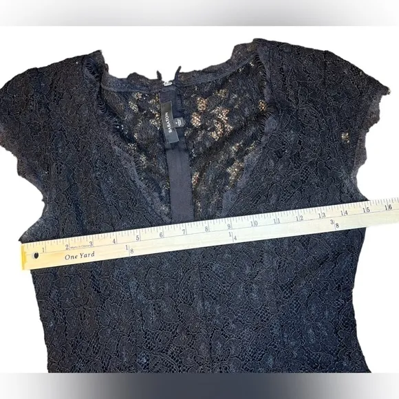 Aritzia Babaton Tobias black lace dress