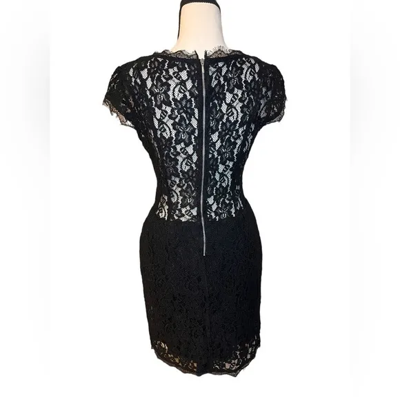 Aritzia Babaton Tobias black lace dress