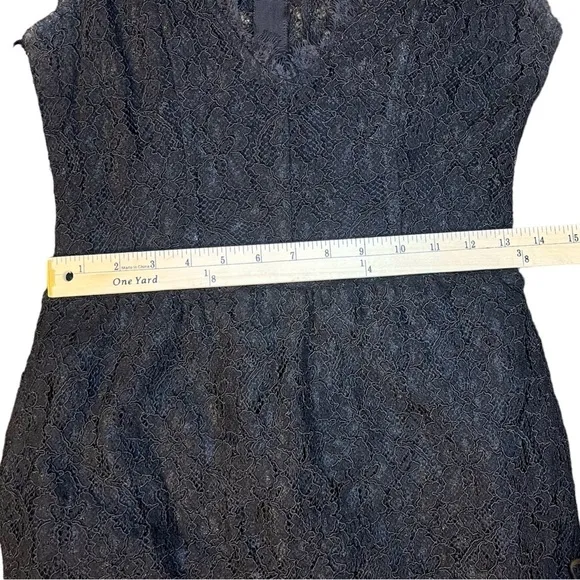 Aritzia Babaton Tobias black lace dress