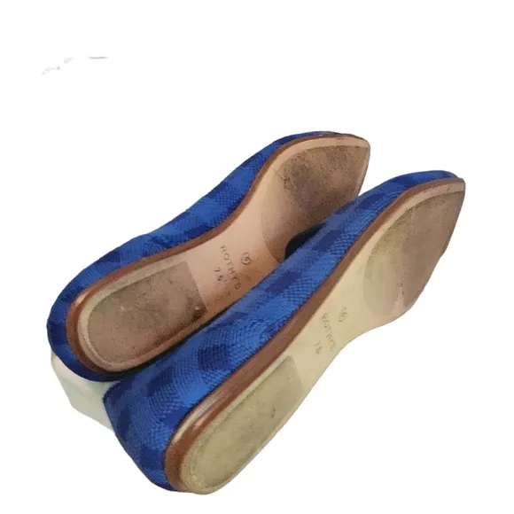 EUC Rothy's Limited Edition Lazuli Gingham Chrck The Point Flat