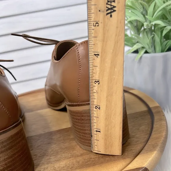 EVERLANE l Neutral Tan Pointed Toe Lace Up Comfort Oxford Preppy Casual Shoe 6