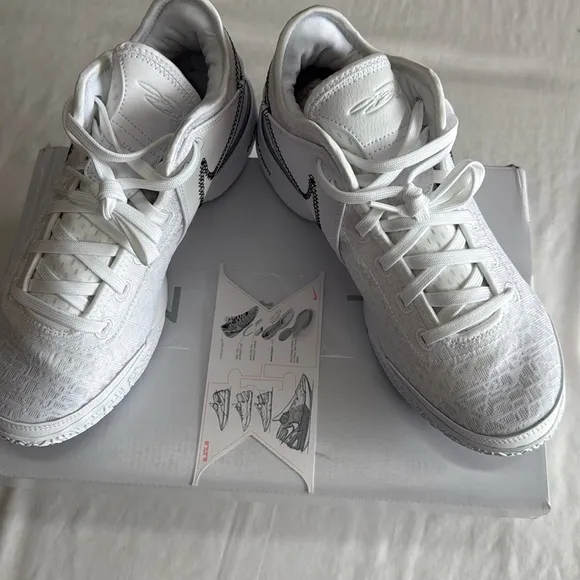 Nike Lebron NXXT Gen White Metallic Silver Nexxt Generation DR8784 101 Mens