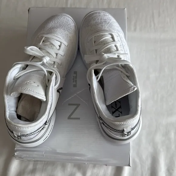 Nike Lebron NXXT Gen White Metallic Silver Nexxt Generation DR8784 101 Mens