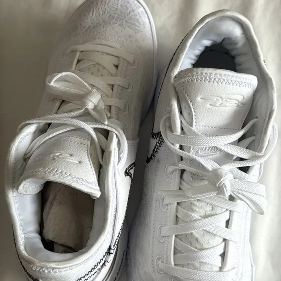 Nike Lebron NXXT Gen White Metallic Silver Nexxt Generation DR8784 101 Mens