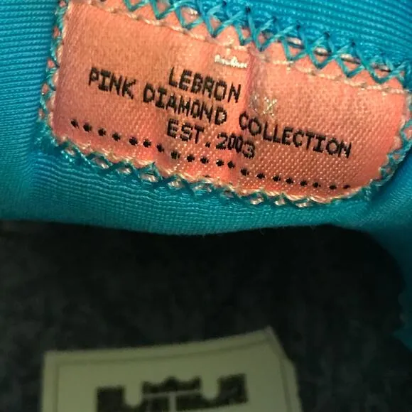 NIKE LeBron XX All-Star Turquoise Men's Size 7.5 DV1191-400