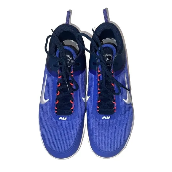 Nike Mens Court Zoom NXT Hard Court Athletic Tennis Shoes Sneakers Sz 10.5