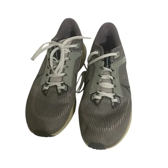Nike Pegasus 40 PRM Road Running Shoes 'Flat Pewter' (FN7498-012) Size 11.5 US