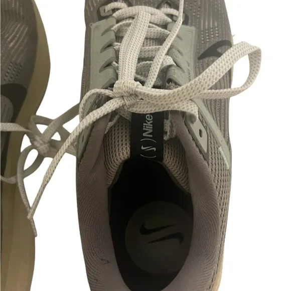 Nike Pegasus 40 PRM Road Running Shoes 'Flat Pewter' (FN7498-012) Size 11.5 US
