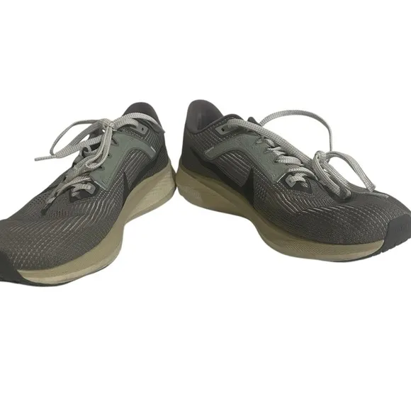 Nike Pegasus 40 PRM Road Running Shoes 'Flat Pewter' (FN7498-012) Size 11.5 US