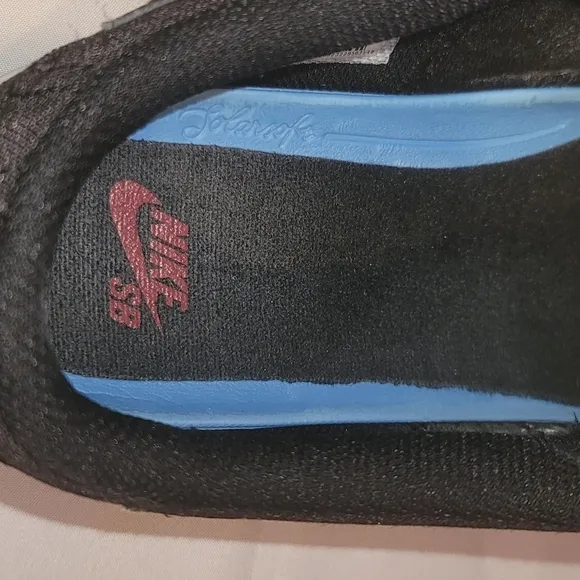 Nike SB Canvas Sneakers with Ortholite Removable Insole