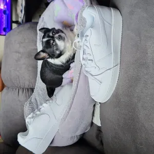 NWOT NIKE SHOES