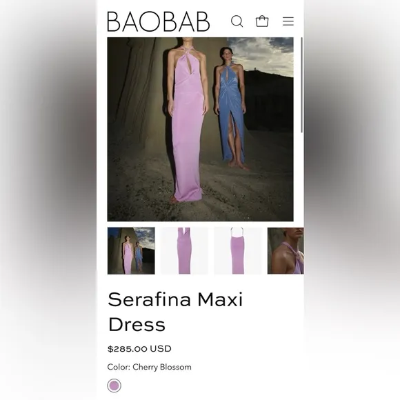 NWT Baobab Mambo long dress, in color Orion blue/green/purple sz Large orig $285